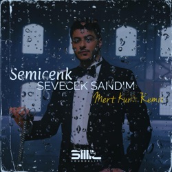 Sevecek Sandım (Remix)