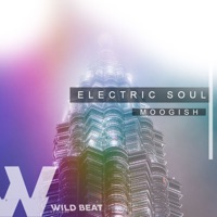 Electric Soul - Single - Moogish