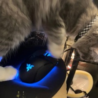 F**k Fame (feat. LuckyStar7 & Jxseph) - Single - BMS RECORDS