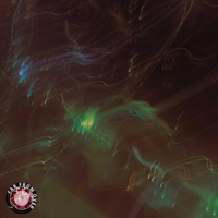 Go Stupid (Radio Edit) [Radio Edit] - Single - Fp3 the Legend