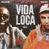 VIDA LOCA artwork