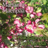 Kahden maan kansalainen (feat. Seppo Sipinen) artwork