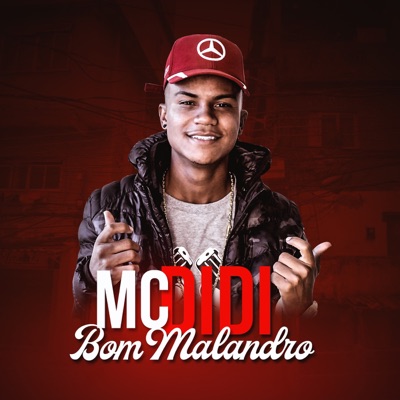 Bom Malandro - Single