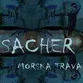 Morska trava