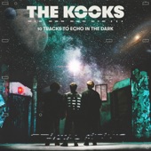 10 Tracks to Echo in the Dark artwork