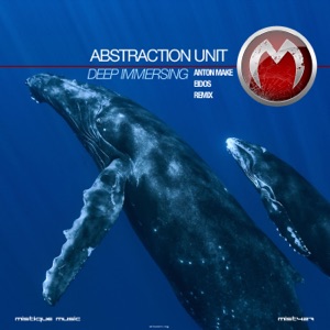 Time of Reflection (Eidos Remix)