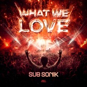 What We Love (Extended Mix) artwork