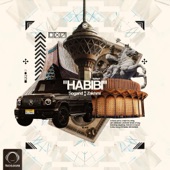 Habibi (feat. Zakhmi) artwork