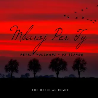 Mbaroj per ty (Official Remix) (feat. Petrit Vullkani) - Single by DJ Iljano album reviews, ratings, credits