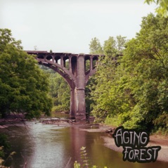 Aging Forest - Single
