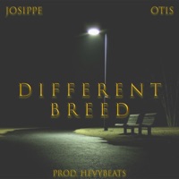 Different Breed (feat. Josippe) - Single - One Truly Inspired Soul & Hevybeats