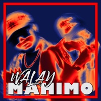 Walay Mahimo (feat. Kyle Zagado & Kydd Curti$) - Single - BisdaCo