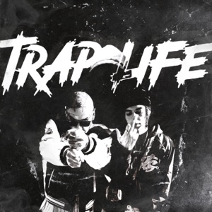 Visionary (feat. Aldomplug)