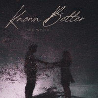 Known Better (feat. Aylius) - Single - Silk World