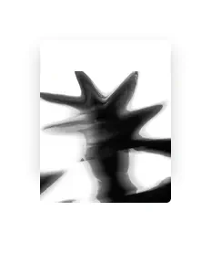 收听 Flame Ramen、观看音乐视频、阅读小传、查看巡演日期等 ！