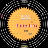 10 Years Later (Pigsie Remix) artwork
