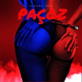 Paçoz artwork