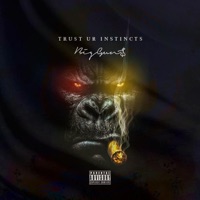 Trust Ur Instincts - BigGun$