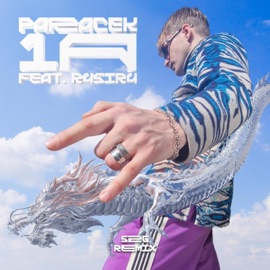 1A (feat. R4SIR4) [SZG Remix] Paraçek