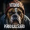 PERRO CALLEJERO (feat. Kabuto The Kid) - VITTORIO lyrics