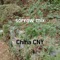 Sorrow Mix - China CNY lyrics