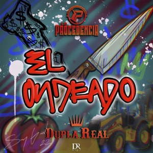 El Ondeado