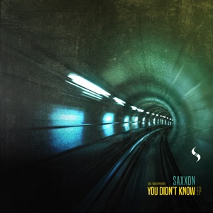 You Didn't Know - Single