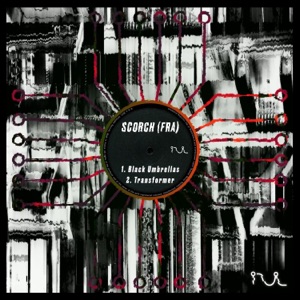 Black Umbrellas / Transformer - Single