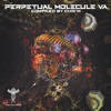 Perpetual Molecule - Various Artists