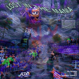 Lost In the Mania LSC