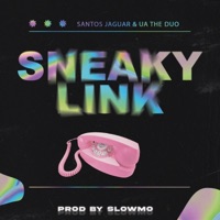 Sneaky Link - Single - UA The Duo