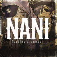 Nani (feat. Kastles) - Sensei Beats