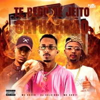 Te Pego de Jeito X Catucadão - Single - Mc Kr 011, Dj Saldinha & Mc Ruzen