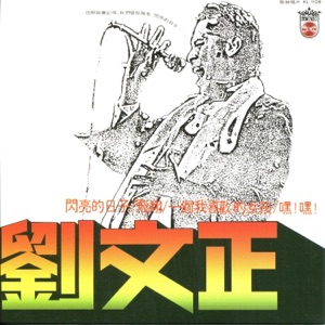 劉文正閃亮的日子
