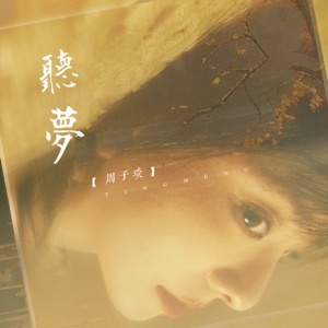 聽夢 - Single