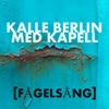 Fågelsång - Single