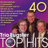 40 Trio Eugster Top Hits artwork