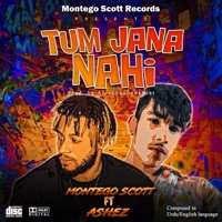 Tum Jana Nahi (feat. Ashez) - Single - Montego Scott