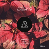 Kamalnatha (Cosmosolar Remix) artwork