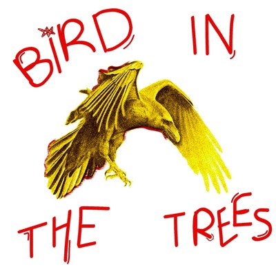 Bird In the Trees - Single