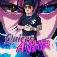 Quiero Volver A Verte - Single - Iori Raven