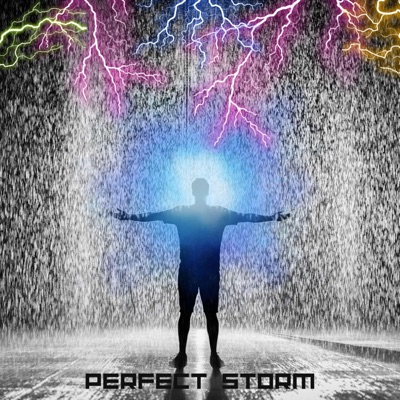Perfect Storm (feat. Shemy) - Single