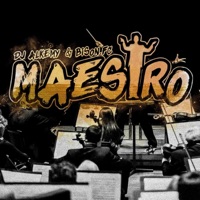 Maestro - Single - DJ Alkemy