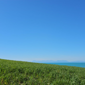 Incanto