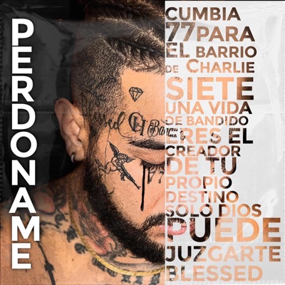 Perdoname - Single