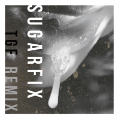 Sugarfix (Teengirl Fantasy Mix) - Single