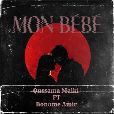 L'Album Bebe (French Edition)