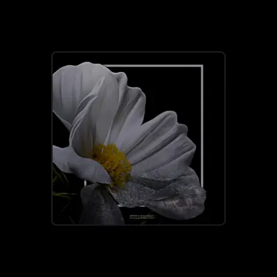 Listen to Normal'ный, watch music videos, read bio, see tour dates & more!
