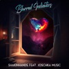 Blurred Indicators - Single