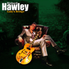 Lady's Bridge - Richard Hawley